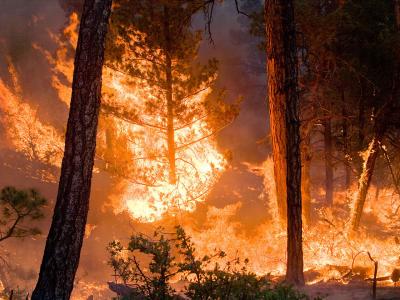 Whitewater-Baldy Complex Wildfire