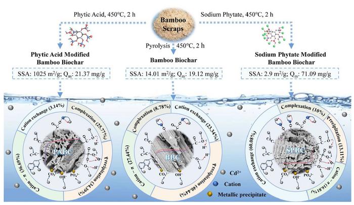 Immobilization of Cd(II) by phosphorus-modified bamboo biochar from solution: mechanistic study from qualitative to quantitative analysis