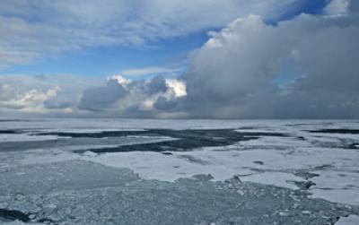 Arctic Ice Melt