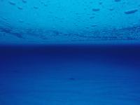 Underwater Picture of Englacial Lake