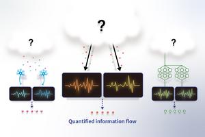The Power of twins: decoding the unseen information flow