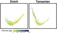 Geography, Age and Anemia Shape Childhood Vaccine Responses in Sub-Saharan Africa (2 of 4)