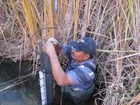 Downloading Data in the Cienega