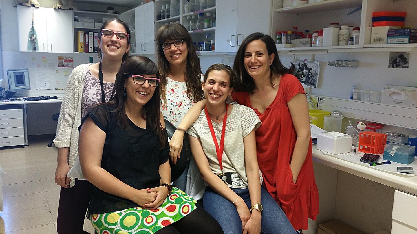 Graupera Team