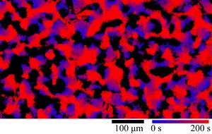 Demonstrating large-scale dynamic collective behavior driven by nonreciprocal interactions