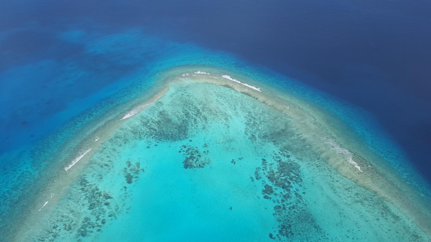 Reef Corner