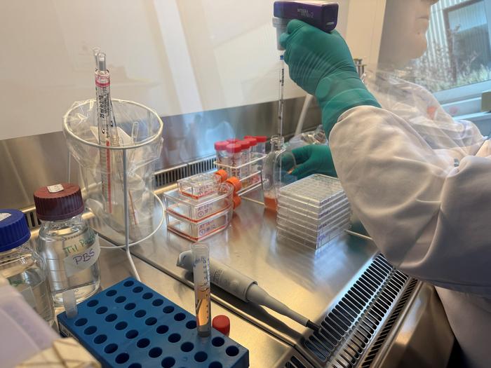 Cultivation in the lab
