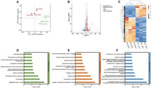 Analysis and confirmation of the differentially expressed mRNAs in the KO and WT EIU groups