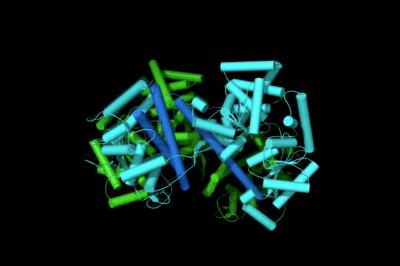 SecA Nanomotor