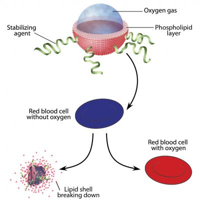 Injected Microparticles Deliver Life-Saving Oxygen (3 of 5)