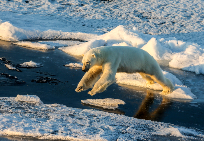 Ocean warming