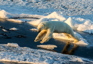 Ocean warming