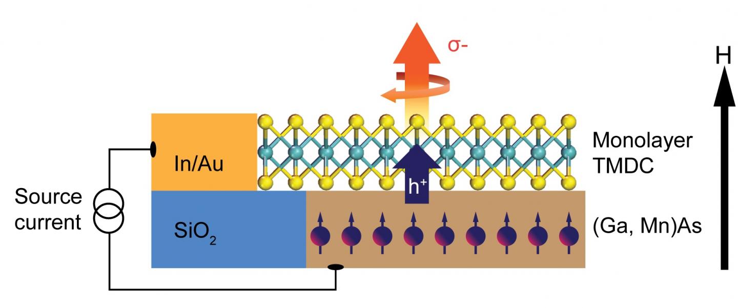 Scientists Push Valleytronics One Step Closer to Reality