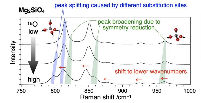 Schematic diagram of changes in the Raman spectrum due to isotope substitution