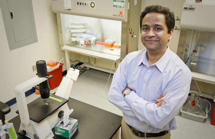 Anand Asthagiri, Northeastern Univeristy