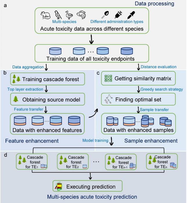 Fig.1. Schematic diagram of the proposed framework