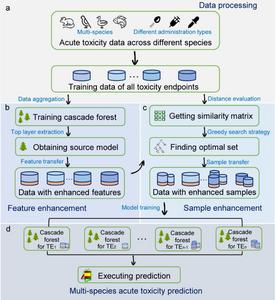 Fig.1. Schematic diagram of the proposed framework
