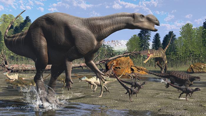 Muttaburrasaurus langdoni artwork