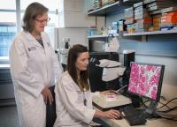 Professor Gail Risbridger and Dr Renea Taylor, <onash Biomedicine Discovery Institute