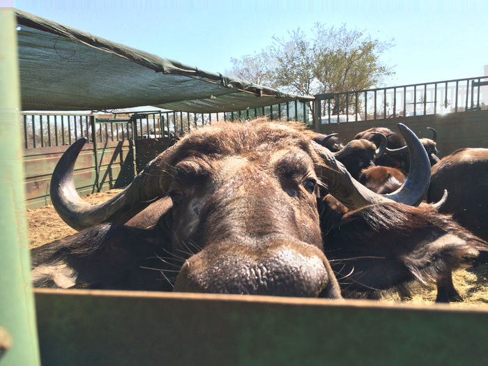 Observer or observed?