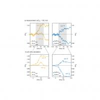 Measured and Calculated Ultrafast Changes of the Helicity Dependent Absorption at the Co Resonance