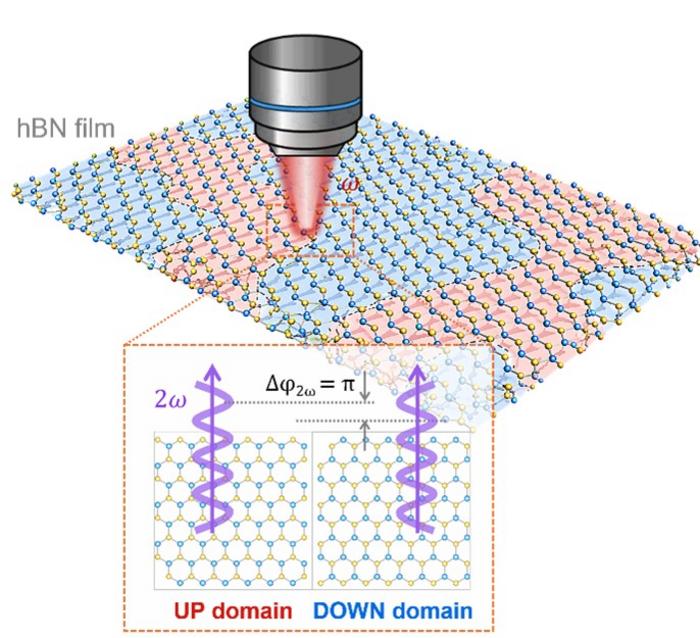 Schematic illustration showing the identification of hidden antiparallel domains and phase-inversion characteristics in large-area hBN thin films through second-harmonic generation imaging