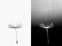 Wind Tunnel