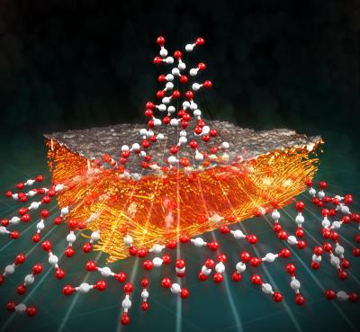 Gas Diffusion Electrode