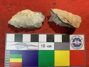 Fossil sampling