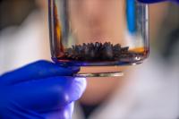 Ferrofluid Jar