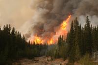 Boreal Wildfire