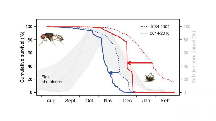 Predicting heat death in species more reliable with new mathematical model