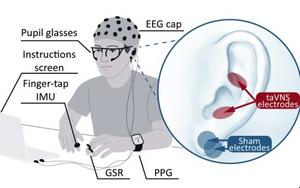 Schematic of vagus nerve stimulation and the movement task