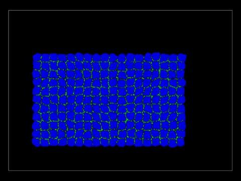 Is Somite Formation Off the Clock? (3 of 3)