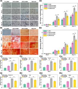 Propelling Biomaterial Innovations for Advanced Cell Therapy