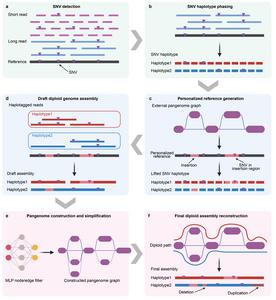 The pangenome-informed genome assembly (PIGA) workflow