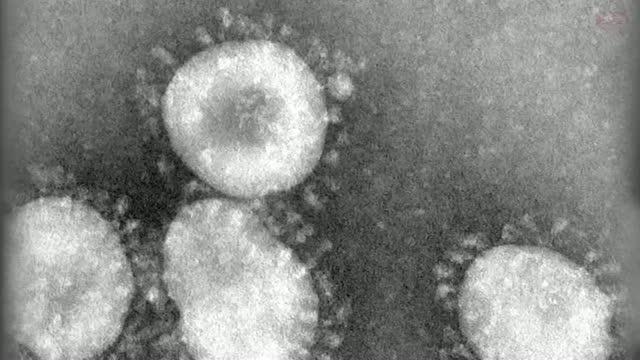 Insight into Growth of Epidemics With Study Into Social Contact in Hong Kong