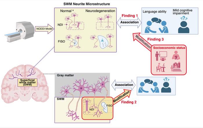 research image