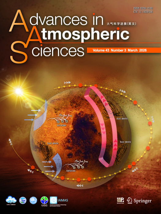 The Martian dust storm