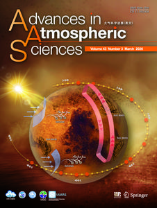 The Martian dust storm