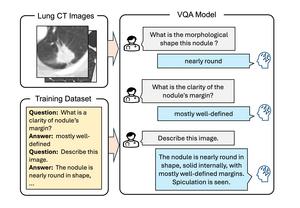 Development of a visual question answering framework to support diagnosis