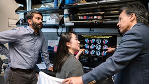 Gene that causes heart defects in Down syndrome is identified