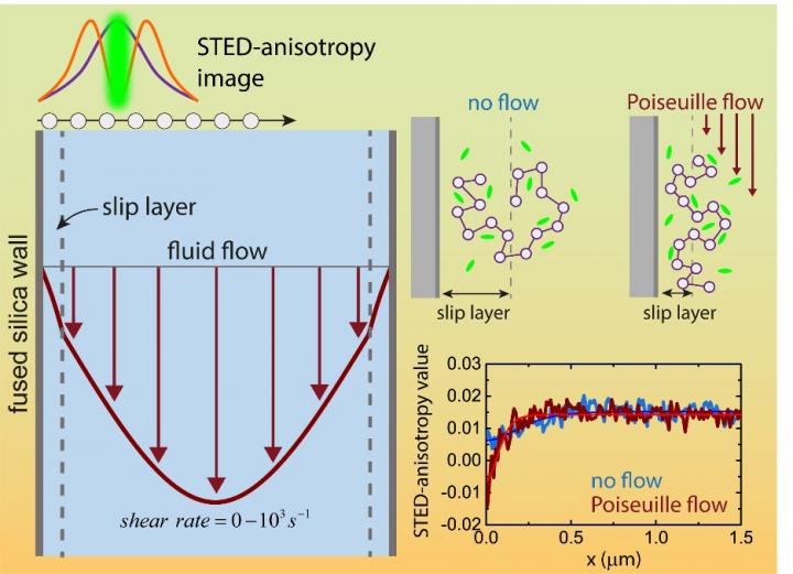 Figure 1: Graphic Summary of the Study
