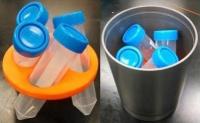 Test Tubes for Flatworm Study