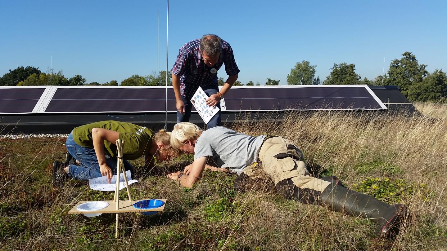High-Level Sampling