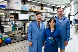 Tiny sensors rapidly detect “forever chemicals” in water
