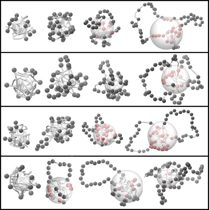 Loop formation in a simulated section of the genome. From left to right, more transposons in the shape of spheres have been inserted into the area. From top to bottom, simulations are shown, in which the loop formation is increasingly pronounced. (Graphic