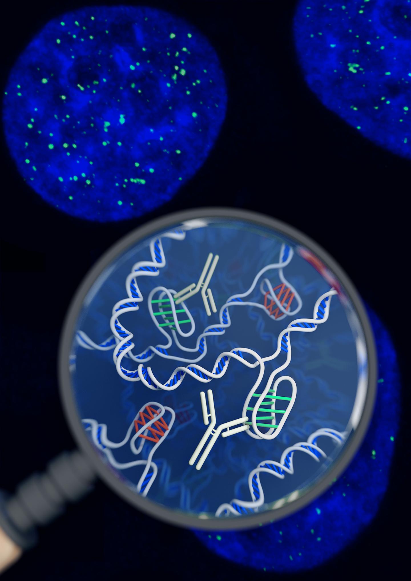 Zeroing in on a New Form of DNA