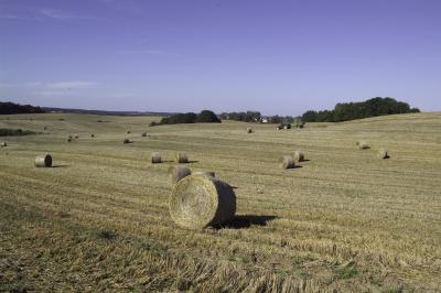 Straw (2 of 2)