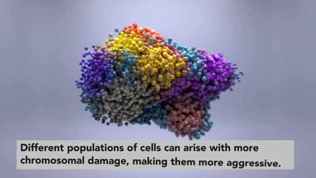 Kidney Cancer Evolution Study